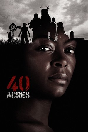 Regarder 40 Acres en streaming complet