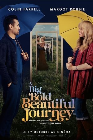Regarder A Big Bold Beautiful Journey en streaming complet