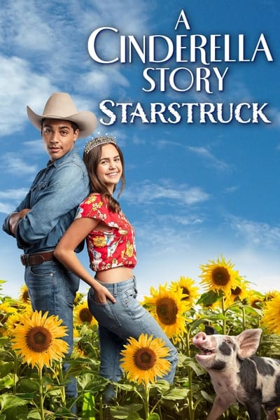 Regarder Comme Cendrillon 6 : Graine De Star en streaming complet