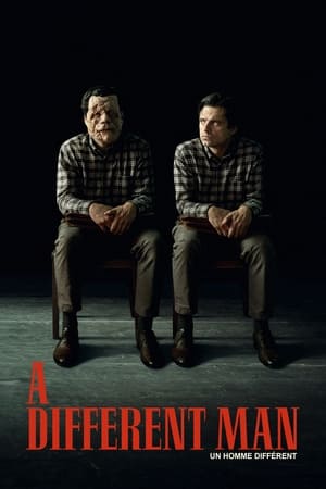 Regarder A Different Man en streaming complet