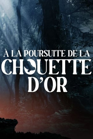 Regarder A la poursuite de la chouette d'or en streaming complet
