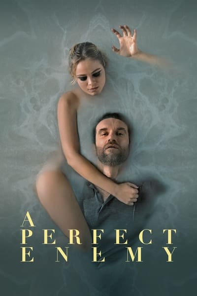 Regarder A Perfect Enemy en streaming complet