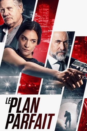 Regarder Le Plan Parfait en streaming complet