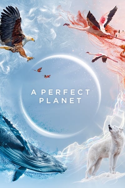 Regarder A Perfect Planet - Saison 1 en streaming complet