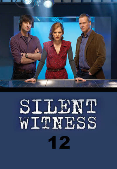 Regarder Affaires non classées - Saison 12 en streaming complet