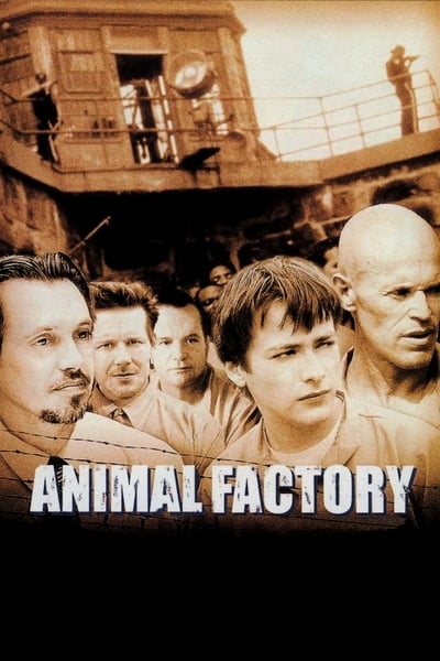 Regarder Animal Factory en streaming complet