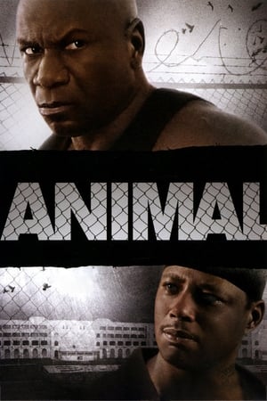 Regarder Animal en streaming complet