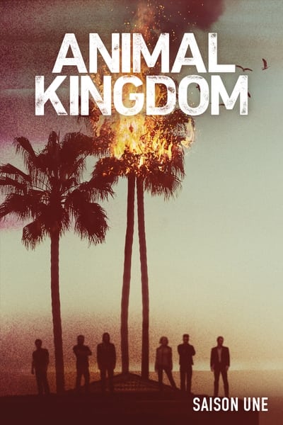 Regarder Animal Kingdom - Saison 1 en streaming complet