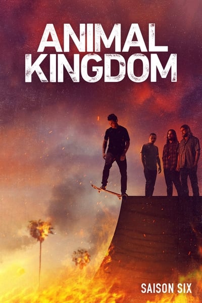 Regarder Animal Kingdom - Saison 6 en streaming complet