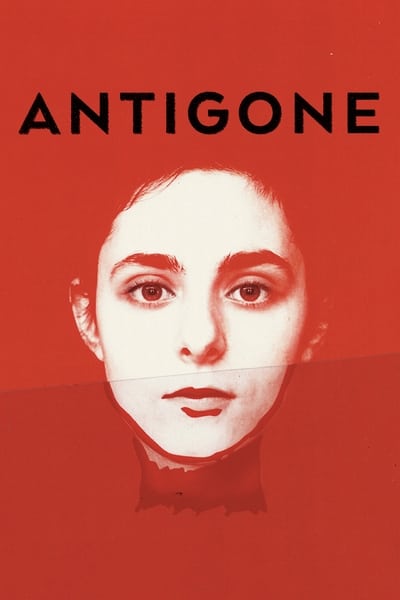 Regarder Antigone en streaming complet