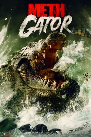 Regarder Methgator en streaming complet