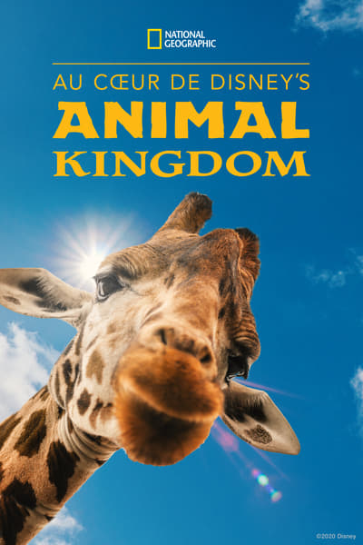 Regarder Au cœur de Disney’s Animal Kingdom (Magic of Disney's Animal Kingdom) - Saison 1 en streaming complet
