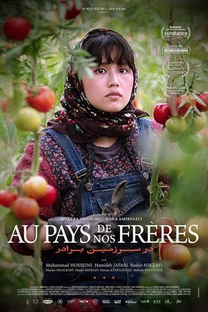 Regarder Au pays de nos frères en streaming complet