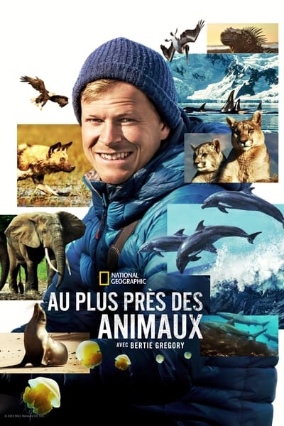 Regarder Au plus près des animaux avec Bertie Gregory - Saison 1 en streaming complet