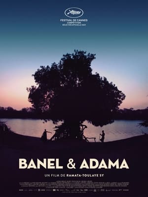 Regarder Banel e Adama en streaming complet