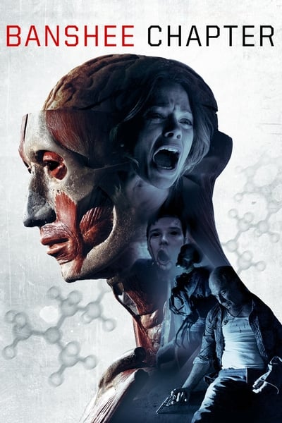 Regarder Banshee Chapter en streaming complet