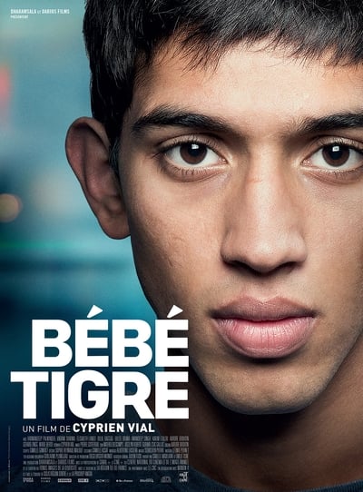 Regarder Bébé tigre en streaming complet
