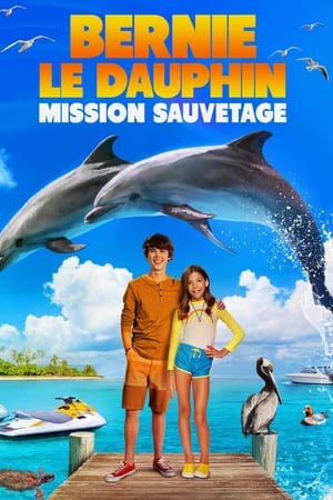 Regarder Bernie le Dauphin : Mission Sauvetage en streaming complet