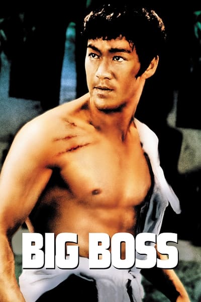 Regarder Big Boss en streaming complet