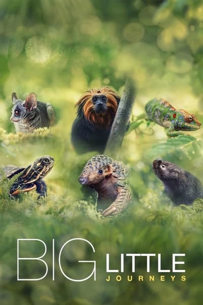 Regarder Big Little Journeys - Saison 1 en streaming complet