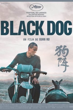 Regarder Black Dog en streaming complet