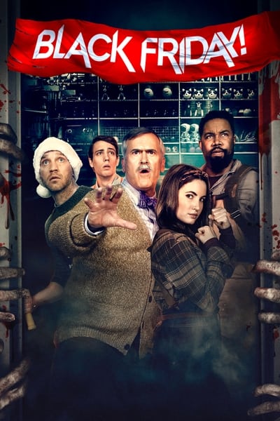 Regarder Black Friday ! en streaming complet