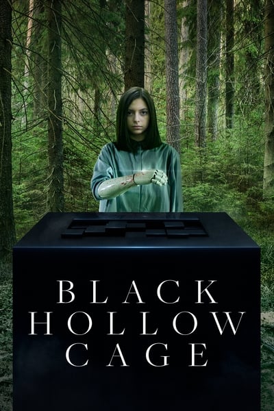 Regarder Black Hollow Cage en streaming complet