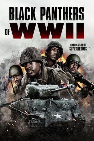Regarder Black Panthers of WWII en streaming complet