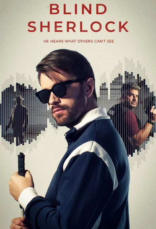 Regarder Blind Sherlock - Saison 1 en streaming complet