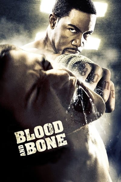 Regarder Blood and Bone en streaming complet
