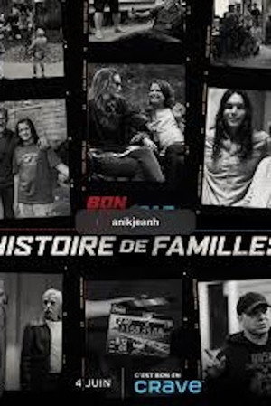 Regarder Bon Cop Bad Cop: Histoire de Familles en streaming complet