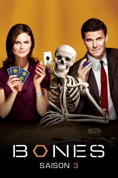 Regarder Bones - Saison 3 en streaming complet