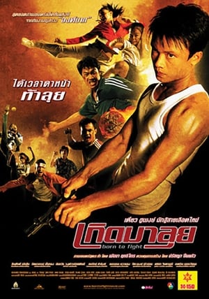 Regarder Born to Fight en streaming complet