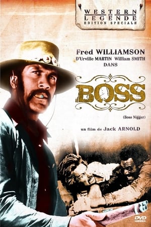 Regarder Boss Nigger en streaming complet