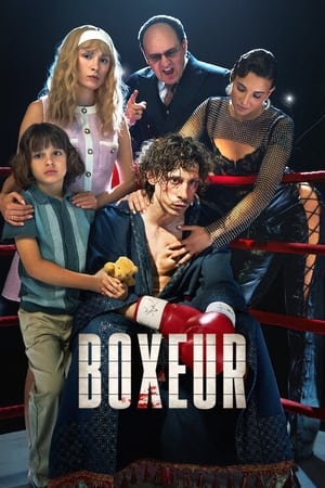 Regarder Boxeur en streaming complet