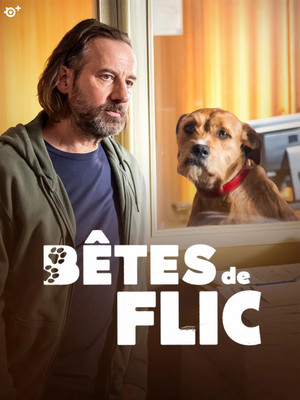 Regarder Bêtes de flic en streaming complet
