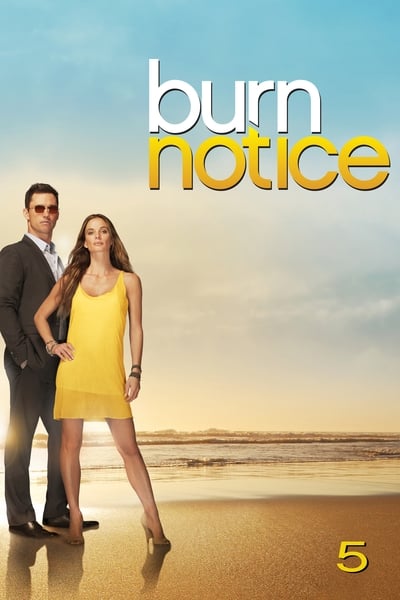 Regarder Burn Notice - Saison 5 en streaming complet