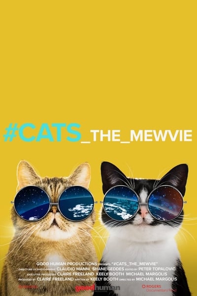 Regarder #Chats : Les rois du net en streaming complet