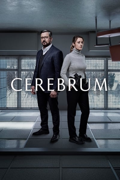 Regarder Cerebrum - Saison 2 en streaming complet