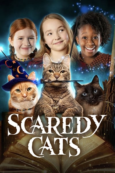 Regarder Chabracadabra - Saison 1 en streaming complet