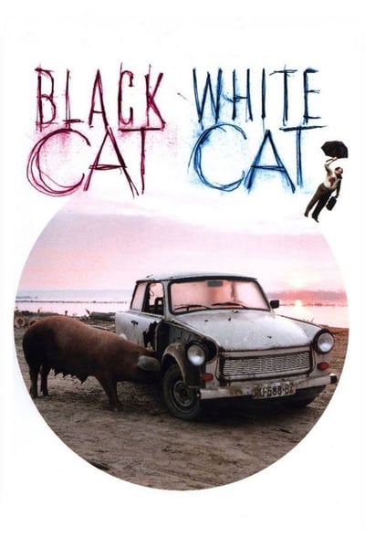 Regarder Chat noir, chat blanc en streaming complet