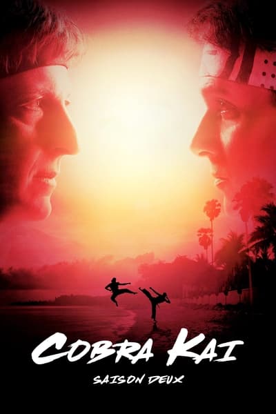 Regarder Cobra Kai - Saison 2 en streaming complet