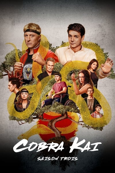 Regarder Cobra Kai - Saison 3 en streaming complet