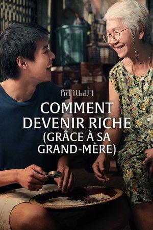 Regarder Comment devenir riche (grâce à sa grand-mère) en streaming complet