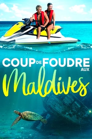 Regarder Coup de foudre aux Maldives en streaming complet