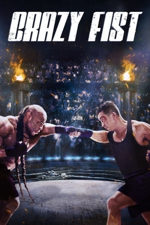 Regarder Crazy Fist en streaming complet