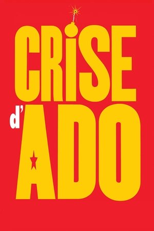 Regarder Crise d'ado en streaming complet