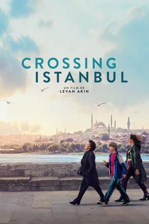 Regarder Crossing Istanbul en streaming complet