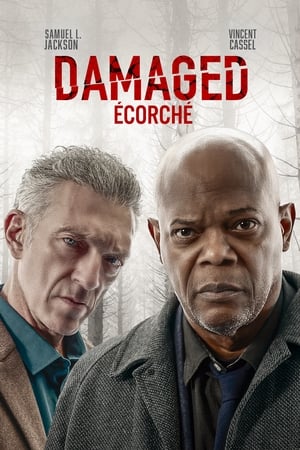 Regarder Damaged en streaming complet