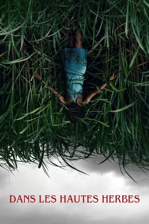 Regarder Dans les hautes herbes en streaming complet